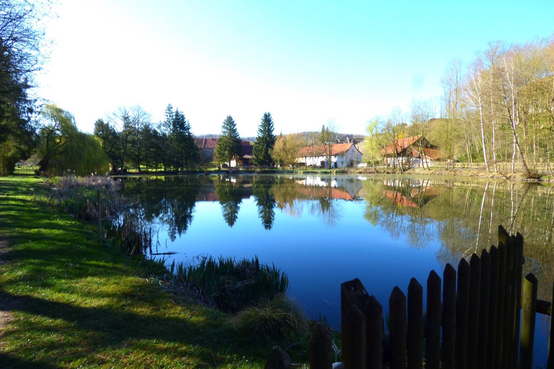 Der Teich im Frühjahr