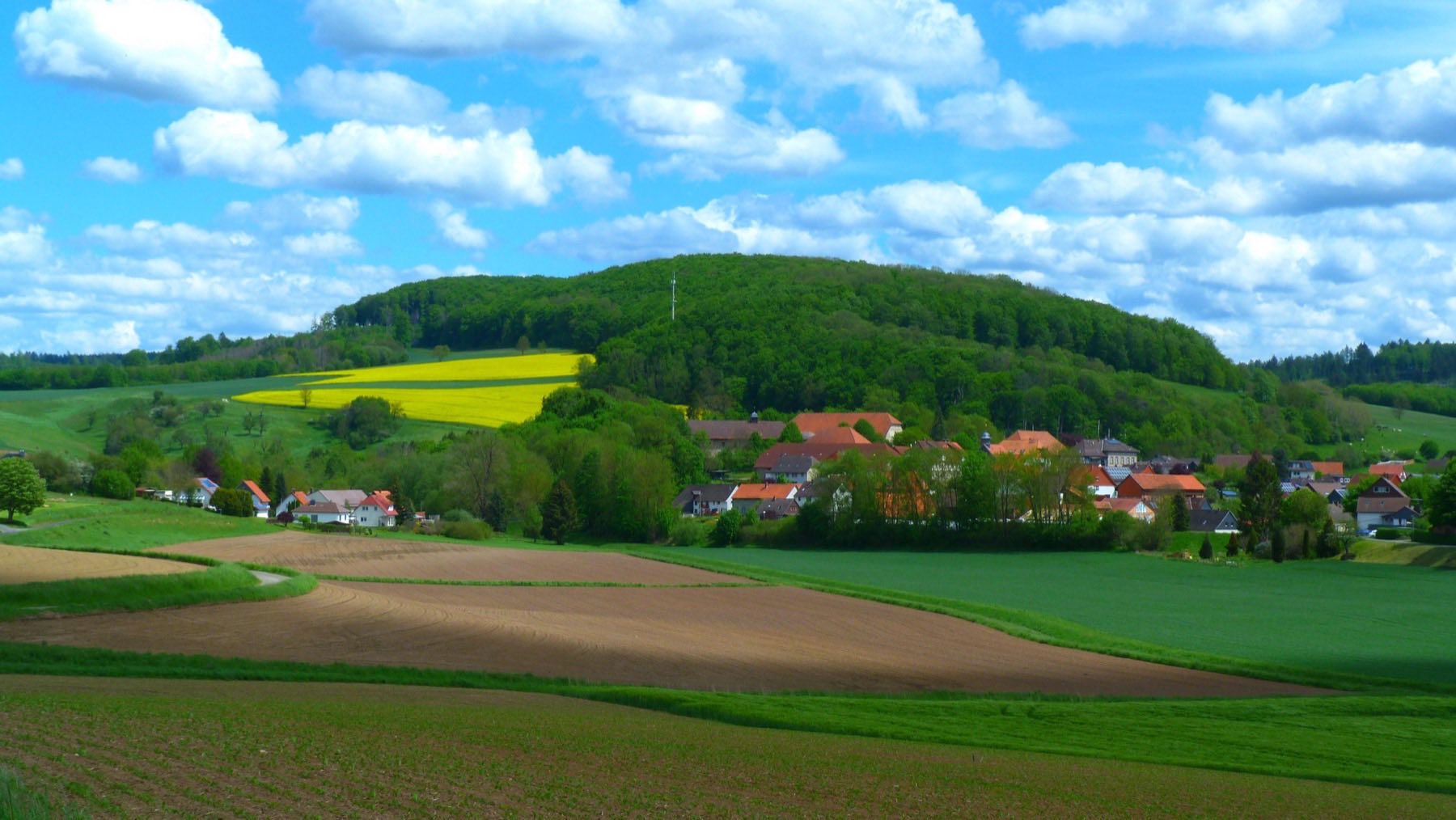 Wald direkt vor der Tür